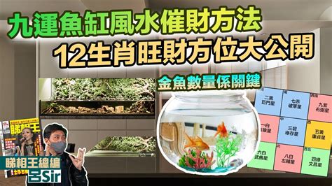 水族箱風水|【魚缸擺放風水】魚缸擺放風水大公開！遵循這些要點，旺財又旺。